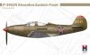 Hobby 2000 48046 P-39Q/N Airacobra Eastern Front ( Hasegawa + Cartograf + Maski ) 1/48